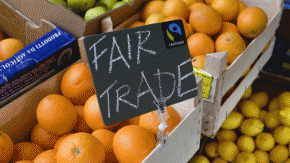 2013-Nederlanders en fairtrade 2012