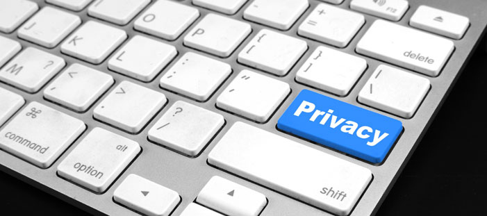 2014-Nederlanders en privacy in de 21ste eeuw